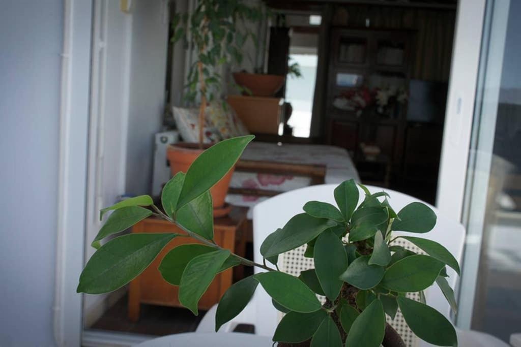 Stavros Amazing Apartment In The Centre Of Kos Luaran gambar